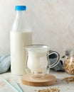 A glass of milk and a jug of milk. Farm dairy products, milk day. A wholesome milk and oats setup Royalty Free Stock Photo