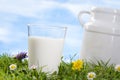 Glass of milk and milk jug on the grass. Royalty Free Stock Photo