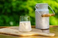 A glass of milk and an old metal milk can on a wooden table against the green defocused natural background Royalty Free Stock Photo