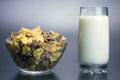 Glass of milk and a plate of corn flakes. raw health food Royalty Free Stock Photo