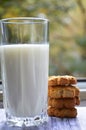 A glass of milk and cookies for breakfast Royalty Free Stock Photo