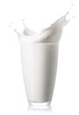 glass of milk with splash isolated on white Royalty Free Stock Photo