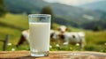 A glass of milk stands on a wooden table. Behind is a blurred background of an alpine meadow on which cows graze Royalty Free Stock Photo