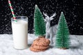 A glass of milk with a straw and cookies with chocolate chips on a snowy background among toy Christmas trees Royalty Free Stock Photo