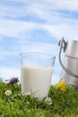 Glass of milk and Vintage milk churn Royalty Free Stock Photo