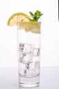 A glass of mineral water with an orange slice and mint Royalty Free Stock Photo