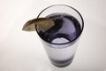 A glass of mineral water with sliced lemon Royalty Free Stock Photo