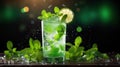 glass mint mojito drink classic Royalty Free Stock Photo