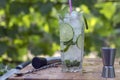 Glass of Mojito cocktail with mint and lime ice cubes on a board with fresh limes. Selective focus. Royalty Free Stock Photo