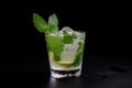 glass of mojito, garnished with spearmint leaves