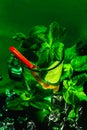 Glass of mojito with lime and mint ice cube close-up red straw Royalty Free Stock Photo