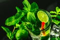 Glass of mojito with lime and mint ice cube close-up red straw Royalty Free Stock Photo