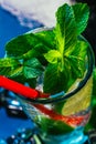 Glass of mojito with lime and mint ice cube close-up red straw on blue background Royalty Free Stock Photo