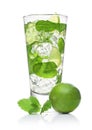 Glass of Mojito summer alcoholic cocktail with ice cubes mint and lime on white with raw lime and mint leaf Royalty Free Stock Photo