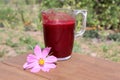 Glass mug with cherry juice on the edge of a wooden table in the backyard, side view, close-up Royalty Free Stock Photo