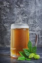 Glass mug of cold beer with foam and hops Royalty Free Stock Photo