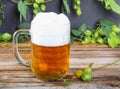 Glass mug of cold fresh golden beer on wooden table Royalty Free Stock Photo