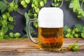 Glass mug of cold fresh golden beer on wooden table Royalty Free Stock Photo