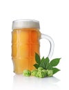 Glass mug of cold light beer with foam and green hops Royalty Free Stock Photo