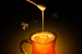 Glass mug full of pure honey and a dipper with bees Royalty Free Stock Photo