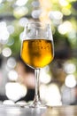 Glass of mug golden beer on wood table and green light blured bokeh garden outdoor background Royalty Free Stock Photo