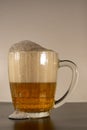 The glass mug is half filled with fresh lager beer, with thick foam. Royalty Free Stock Photo