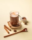 Glass mug of hot chocolate with whipped cream and cinnamon stick on a yellow background with anise star, spoon and cocoa powder Royalty Free Stock Photo