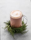 Glass mug of hot chocolate with whipped cream on a stand with pine branches on a light background