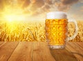 Glass mug of beer against wheat field Royalty Free Stock Photo