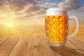 Glass mug of beer against wheat field Royalty Free Stock Photo