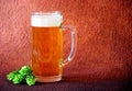 Glass mug of light beer with white foam and the fruits of ripe green hops on a brown background Royalty Free Stock Photo