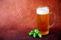 Glass mug of light beer with white foam and hops fruits on a brown background Royalty Free Stock Photo