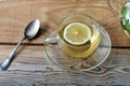 Glass mug of tea with ginger and slice of lemon Royalty Free Stock Photo