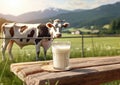 Glass of natural fresh milk on table with cow and green field farm landscape view.Macro.AI Generative Royalty Free Stock Photo