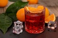 A glass of Negroni cocktail with Campari, Vermouth, Gin and Oranges.