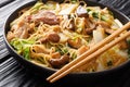 Glass Noodles with pork belly, mushrooms and napa cabbage close-up in a plate. horizontal Royalty Free Stock Photo