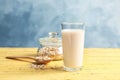 Glass with oat milk and flakes Royalty Free Stock Photo