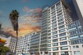 A glass office building with white trim with tall lush green palm trees and blue sky with powerful clouds at sunset in Los Angeles Royalty Free Stock Photo