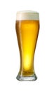 Glass Og Lager Beer