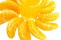 Glass of orange fresh juice and Mandarin orange isolate on white background Royalty Free Stock Photo