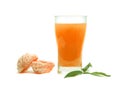 Glass of orange juice Royalty Free Stock Photo