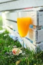 Glass with orange juice on green grass next to wooden box