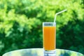 A glass of orange juice on a mirrored tabletop. Happy summer outdoors on background of green foliage