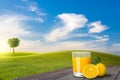 A glass of orange juice and oranges on old wooden floor beside green field on slope and tree with blue sky and clouds background Royalty Free Stock Photo