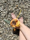 A glass of orange juice and a piece of lemon on the beach Royalty Free Stock Photo