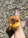A glass of orange juice and a piece of lemon on the beach Royalty Free Stock Photo