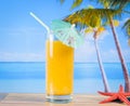 Glass of orange juice on the sandy beach near starfish Royalty Free Stock Photo