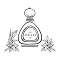 Glass oval perfume bottle with round stopper and flower buds. Black and white fashion sketches. Vector illustration Royalty Free Stock Photo