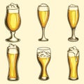 Glass pale ale beer set collection vector illustration
