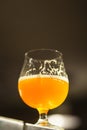 Glass of pale ale in a brewery Royalty Free Stock Photo